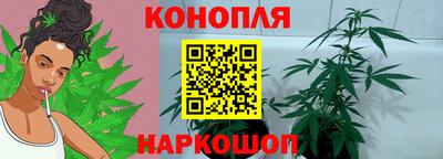 сатива Владимир