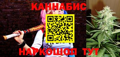 сатива Владимир