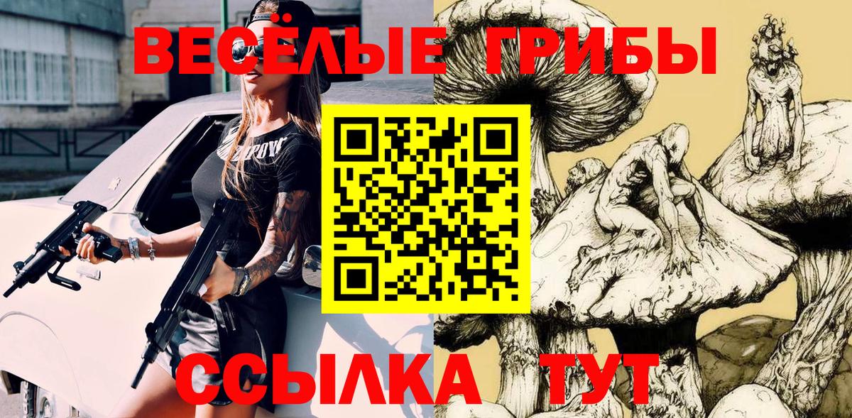 Псилоцибиновые грибы Psilocybine cubensis  Вход с VPN  Бузулук 